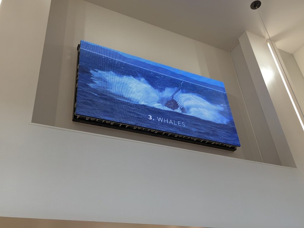 店舗の屋内エントランスにLEDビジョンを設置