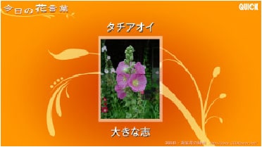 取扱コンテンツ・パッケージ