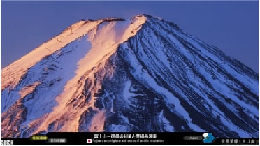 取扱コンテンツ・パッケージ